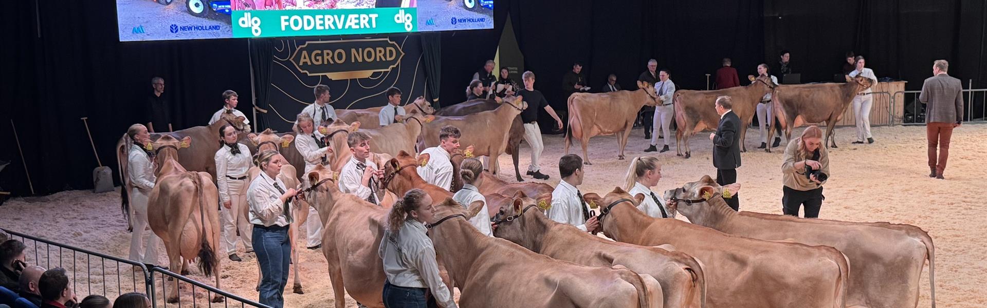 Agro Nord program¤Udpegning: Miss Agro Nord & Reserve Champion